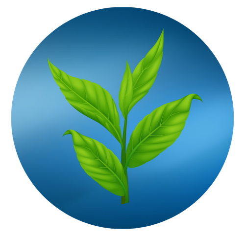 6.png