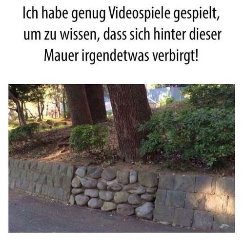 397433580 852640476862610 5758864553368550923 n.jpg