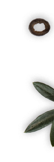 quienessomos Adicionales 5.png