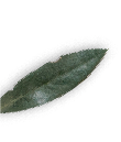 quienessomos Adicionales 12.png