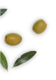 quienessomos Adicionales 6.png