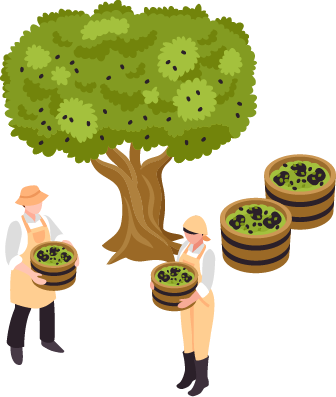quienessomos Ilustración 1.png