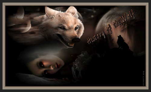 HISTORY OF THE WOLF GRAFIK RESİMLER 6 Liebefee13.jpg