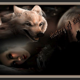 HISTORY OF THE WOLF GRAFIK RESİMLER 6 Liebefee13