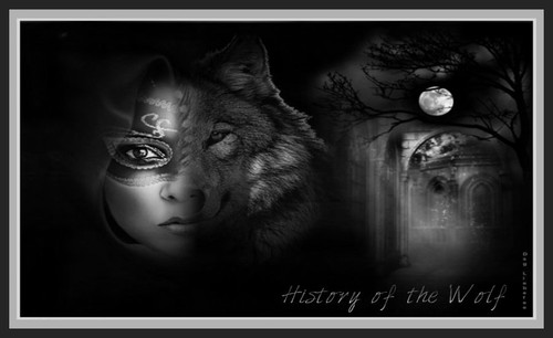 HISTORY OF THE WOLF GRAFIK RESİMLER 5 Liebefee13.jpg