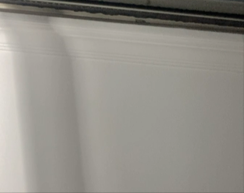 cropped photo.png