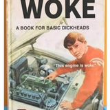 Everything I don't like is woke.png