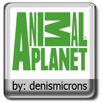 ANIMAL PLANET HD.png
