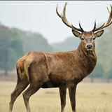 Screen Shot 2016 04 26 at 10.29.38 AM (3).png