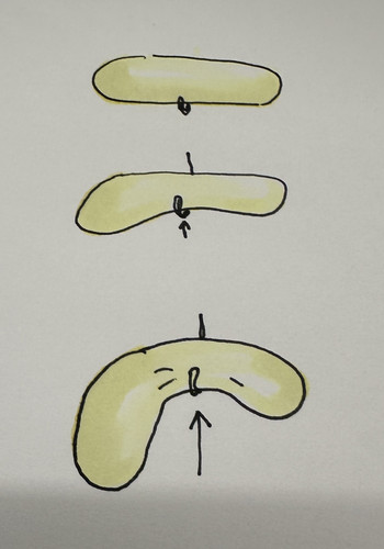 imgonline com ua dexifAiF7hVjXJ5iM.jpg