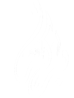 logo white1.png