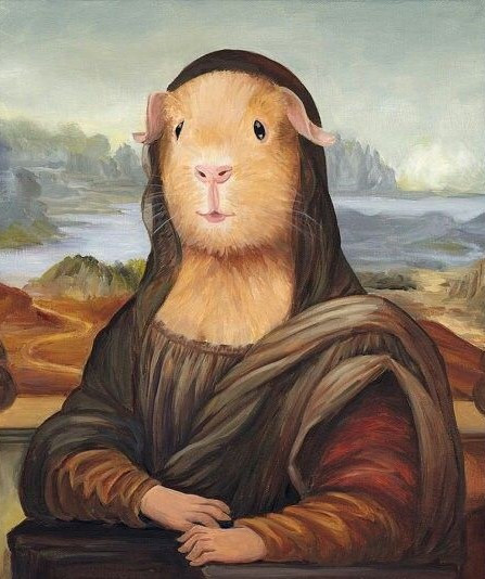 Baby Guinea Pigs.jpg