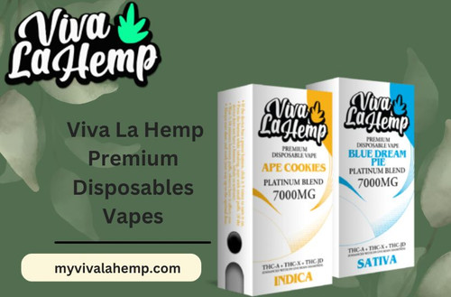 Ditch the Ordinary, Rise Above Viva La Hemp Premium Disposables Vapes.jpg