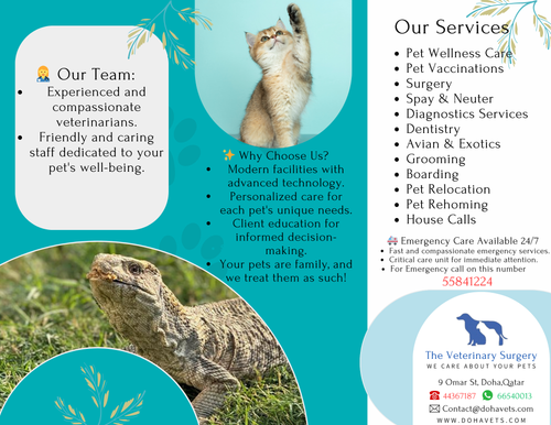 The Veterinary Surgery (1).png