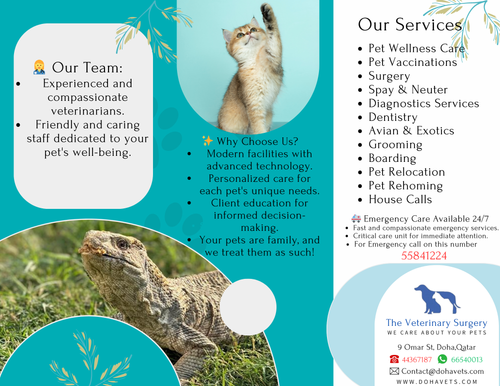 The Veterinary Surgery.png