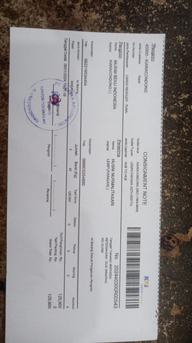 WhatsApp Image 2024 01 06 at 15.41.30.jpg