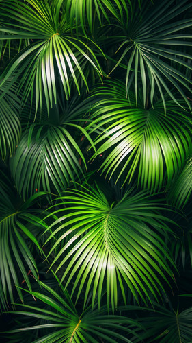 krokonoko123 stunning wallpaper diffrent nature pattern wow t cec00e29 dd3e 4891 9d32 d863bac572da 3.jpg