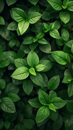 krokonoko123 stunning wallpaper diffrent nature pattern wow t 1326d2d4 f378 4535 947c 1445fc44b667 1.jpg