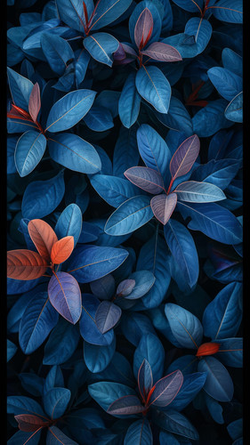 krokonoko123 stunning wallpaper natuer pattern wow this touch 669d1271 7f63 4f2d 9275 61f0456323c2 0.jpg
