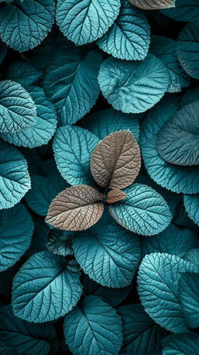 krokonoko123 stunning wallpaper natuer pattern wow this touch cbae36e9 ee87 4e77 8215 eb2d6962b98b 2.jpg