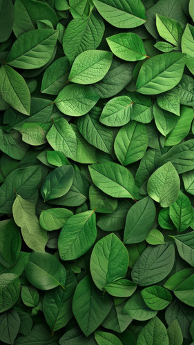 krokonoko123 stunning wallpaper natuer pattern wow this touch d0552ecf 36c0 44ee 8f47 f8e150bb3ec4 2.jpg