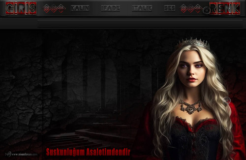 Bayan Radyo Tema 254 liebefee13