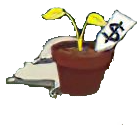 magazin.png