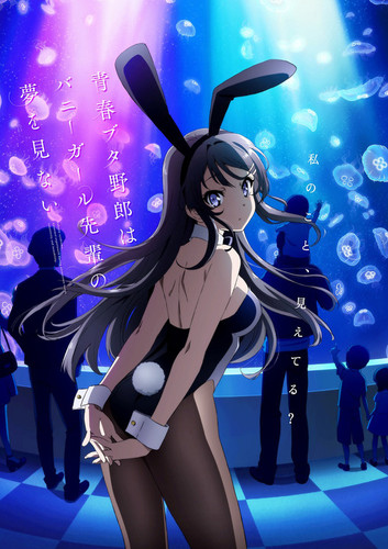 Seishun Buta Yarou wa Bunny.jpg