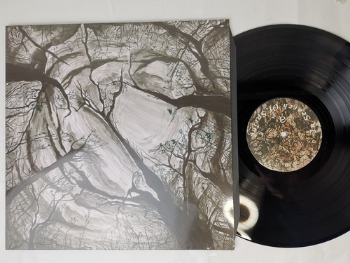 IMG 20240111 160325.jpg