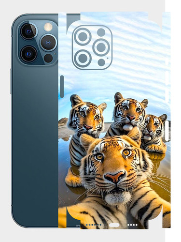 iPhone 12 Pro Max Selfie.jpg