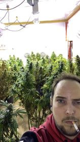 weed.jpg