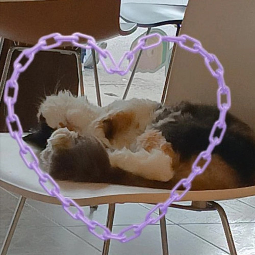 blob.jpg
