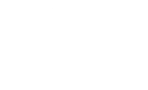 Path 7937 (2).png