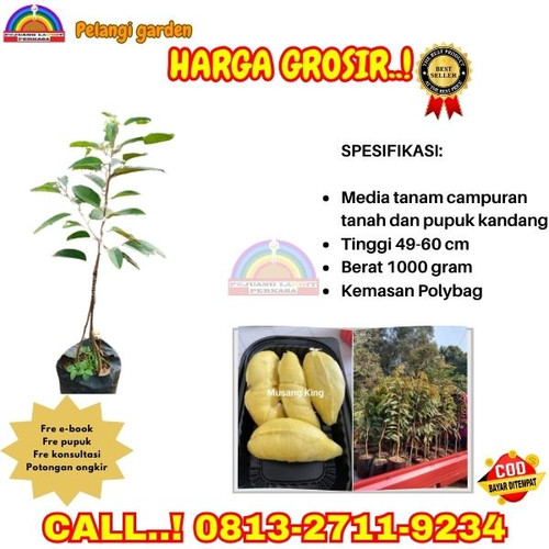 OPEN RESELLER ! H.Tovix CALL: 0813-2711-9234 Jual Bibit Durian Yang Cepat Berbuah Ke Kec.Selat Nasik.jpg