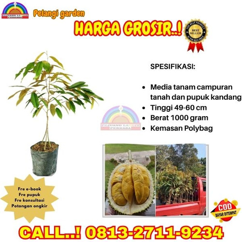 PRODUSEN BIBIT UNGGULAN ! H.Tovix CALL: 0813-2711-9234 Jual Bibit Durian Yang Sudah Berbunga Ke Kec..jpg