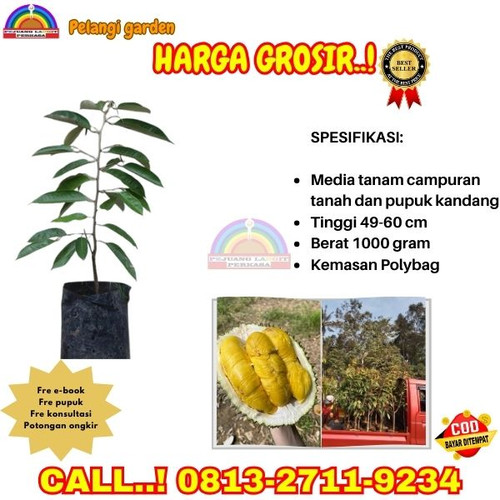 LANGSUNG DARI KEBUN ! H.Tovix CALL: 0813-2711-9234 Jual Bibit Durian Yang Sudah Berbuah Ke Kec.Selat.jpg