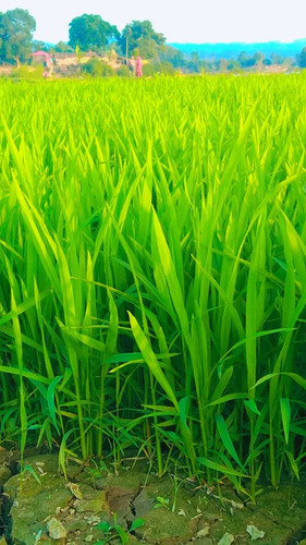 Snapchat 939144905.jpg