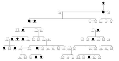 firestar pedigree ginger.png