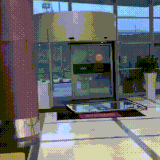 dver.gif