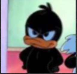 2974ffdea2ce.png