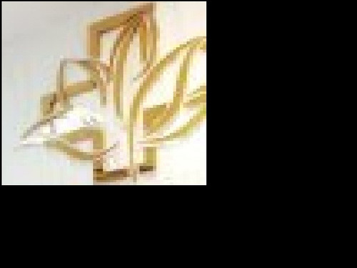 Diem 35 52 100 office logo3.jpg