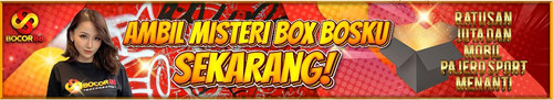 BANNER MISTERY BOX.jpg