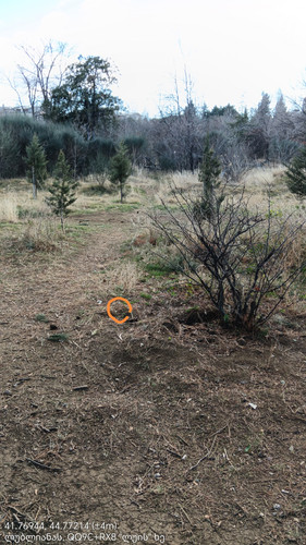 41.76944, 44.77214 06012024 152350 edit 591057041965305.jpg