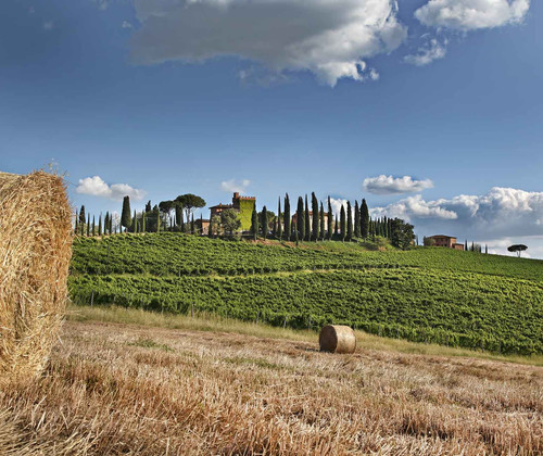 Panorama Borgo Tre Rose Wedding.jpg