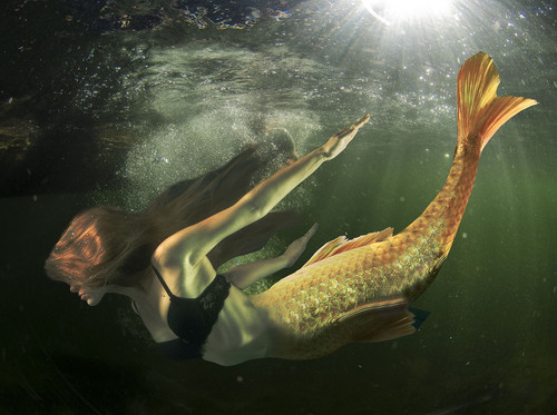 mermaid 2409376 1280.jpg