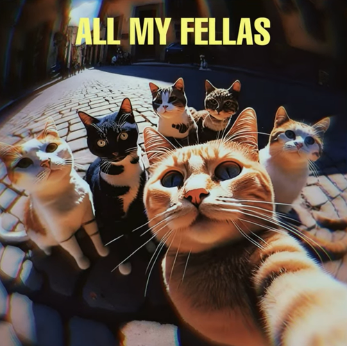 all my fellas.png