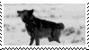 IMG 7900.gif