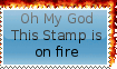 IMG 8586.gif
