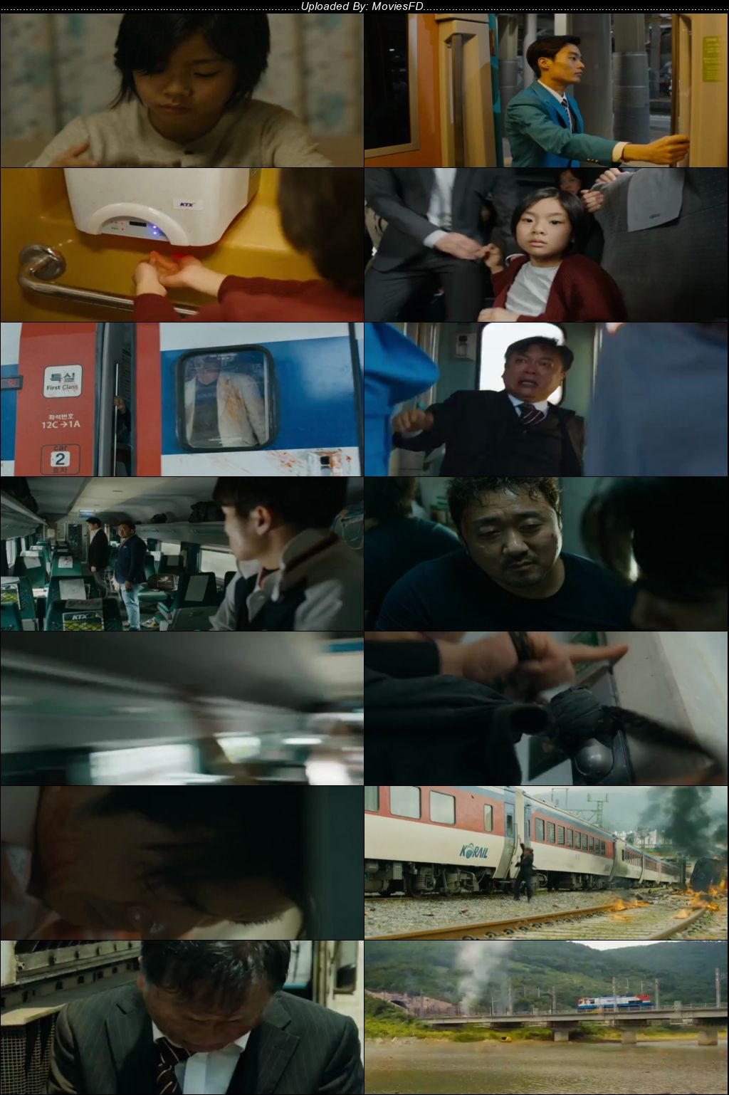 Download Train to Busan (2016) BluRay [Hindi + English] ESub 480p 720p 1080p
