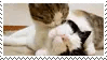 IMG 8638.gif